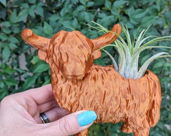 Small Highland Cow Planter for air plants or succulents, Indoor planter, 3D printed