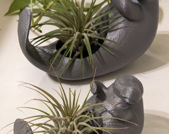 3D Printed Manatee Planter,  for Indoor Air plant and small succulent Gardening