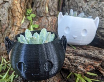 Black or White Cat Planter for Air Plants or Small Succulents, Indoor Gardening Planter