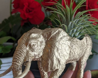 Elephant Planter for Air Plants or Tiny Succulents, Indoor Planter