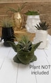 Inspired Star Wars Planters for Indoor Gardening  for air plants/ succulents or Stationary Desk Accessories 