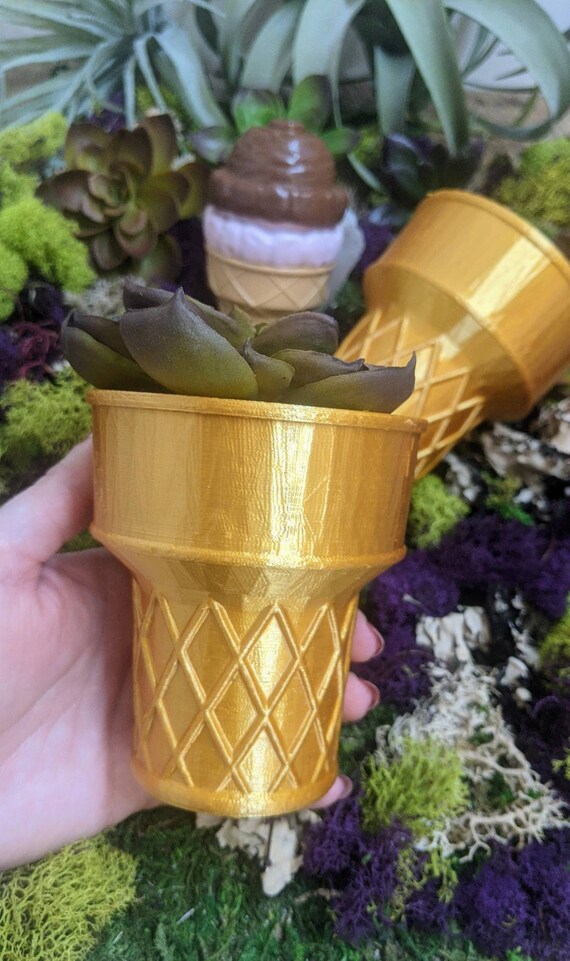 3D Printed Ice Cream Cone Planter for Cacti Succulents Indoor Etsy