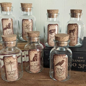 Potion Glass Bottles for Witchy Kitchen décor, Spice bottles for kitchen