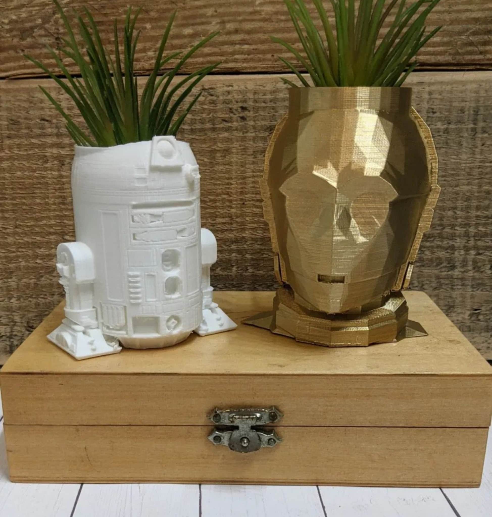 Jardineras Droid o Robot para pequeñas suculentas o Jardinera de escritorio con exhibición de plantas aéreas