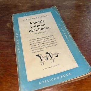 May include: A softcover book titled Animals without Backbones Volume One by Ralph Buchsbaum. The cover is light blue with a white central panel featuring black text and a small illustration of two pelicans. It is labelled as a Pelican Book.