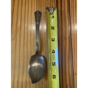 Silver Plate WM Rodgers IS 1932 Ridges And Dots Jelly Spoon HTF Rare