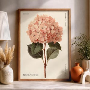 May include: A framed botanical print featuring a Bigleaf Hydrangea flower in pink and green hues. The print is part of a botanical series. It is displayed on a light surface with a lamp and decorative vases.