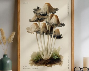 Mica Cap (Coprinellus micaceus) Mushroom Poster, Botanical Illustration, Vintage Fungi Wall Art