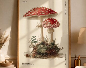 Fly agaric (Amanita muscaria) Mushroom Poster, Botanical Illustration, Vintage Fungi Wall Art