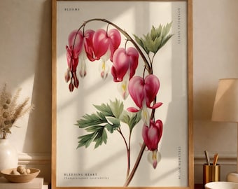 Bleeding Heart (Lamprocapnos spectabilis) Flower Poster, Botanical Illustration, Vintage Floral Wall Art