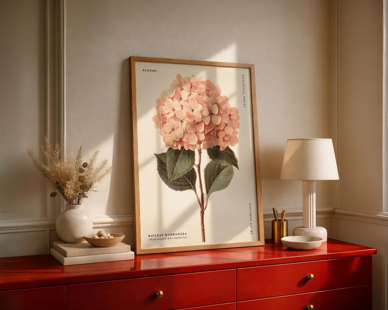 May include: A framed botanical print of a pink hydrangea bloom with green leaves and the text "BLOOMS" at the top. The print is displayed on a red dresser with a lamp, vase, and other decorative items.
