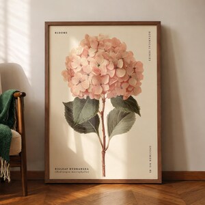May include: A framed botanical print featuring a detailed illustration of a Bigleaf Hydrangea (Hydrangea macrophylla). The artwork showcases a large, pink hydrangea bloom with green leaves and a brown stem against a cream background. The print is part of a botanical series.