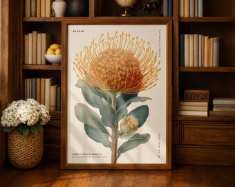 Lámina decorativa de pared con diseño de protea alfiletero, póster botánico de flores, ilustración floral vintage, arte de protea naranja, decoración para sala de estar.