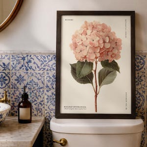 May include: A framed botanical print of a pink bigleaf hydrangea flower. The print is labeled "Blooms" and "Botanical Series" with the scientific name. The print is displayed in a bathroom with blue and white tile.