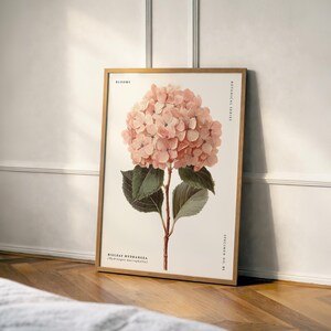 May include: A framed botanical print featuring a detailed illustration of a pink hydrangea flower. The artwork includes green leaves, a stem, and text that reads "Blooms" and "Bigleaf Hydrangea". The frame is a light brown color.