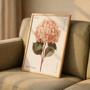 May include: A framed botanical print featuring a detailed illustration of a pink hydrangea bloom. The artwork includes green leaves and stems, with text that reads "Blooms" and "Botanical Series". The frame is a light wood color.