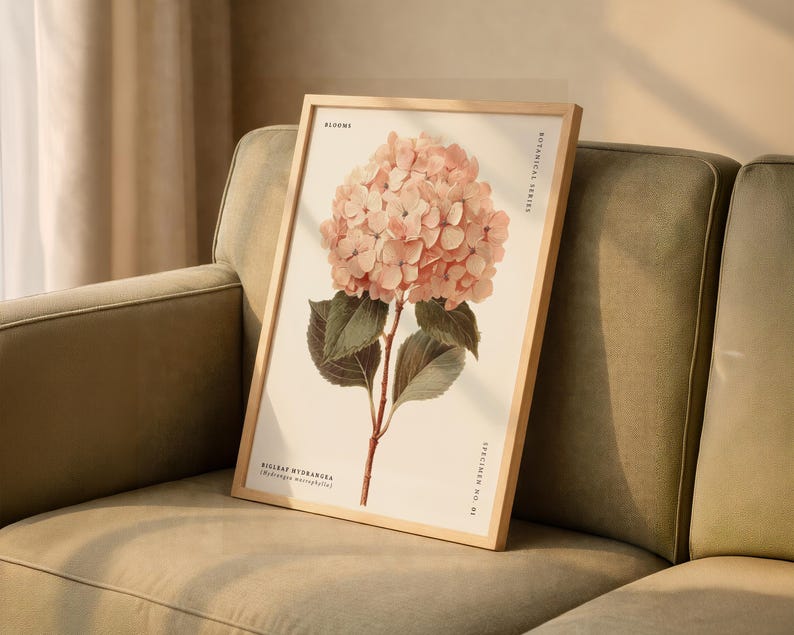 May include: A framed botanical print featuring a detailed illustration of a pink hydrangea bloom. The artwork includes green leaves and stems, with text that reads "Blooms" and "Botanical Series". The frame is a light wood color.