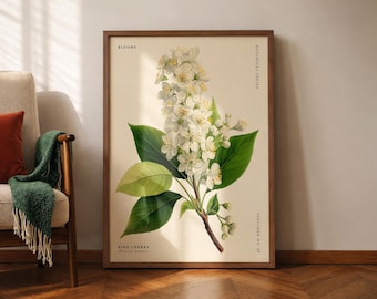 Bird Cherry Botanical Wall Art Print, Vintage Floral Poster, Prunus Padus Flower Illustration, Green Nature Decor for Living Room