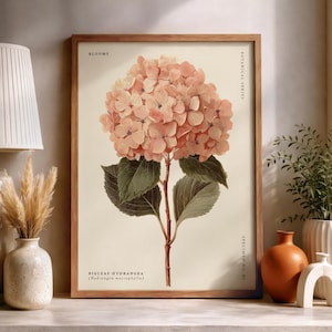 May include: A framed botanical print of a Bigleaf Hydrangea flower in shades of peach and green. The print is part of the Botanical Series and includes the word "Blooms". The print is displayed on a white surface.
