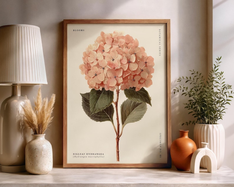 May include: A framed botanical print of a Bigleaf Hydrangea flower in shades of peach and green. The print is part of the Botanical Series and includes the word "Blooms". The print is displayed on a white surface.