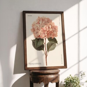 May include: A framed botanical print featuring a Bigleaf Hydrangea illustration. The artwork showcases a cluster of soft pink blooms, green leaves, and a brown stem against a cream background. The dark brown frame adds a classic touch.