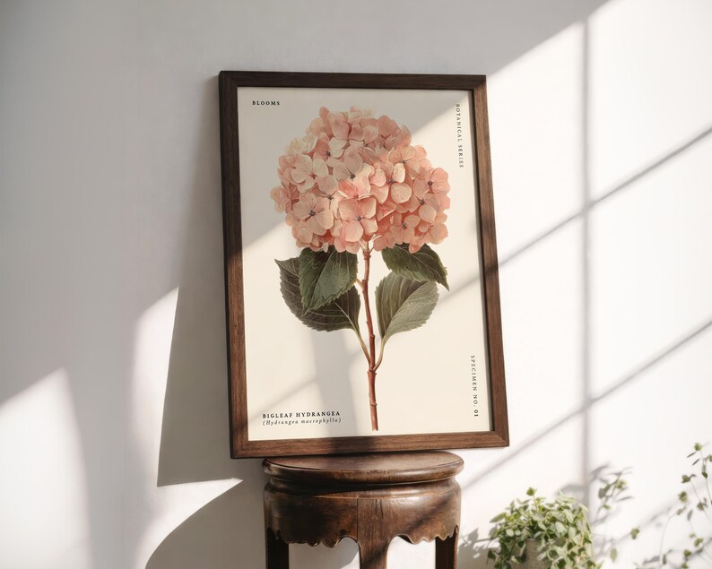 May include: A framed botanical print featuring a Bigleaf Hydrangea illustration. The artwork showcases a cluster of soft pink blooms, green leaves, and a brown stem against a cream background. The dark brown frame adds a classic touch.