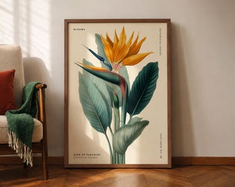 Bird of Paradise (Strelitzia reginae) Botanical Poster, Tropical Flower Illustration, Vintage Floral Wall Art