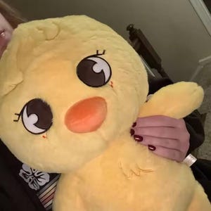 Skzoo Bbokari Plush - Etsy