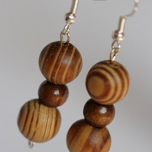 May include: A pair of wooden bead earrings with silver hooks. The beads are brown and have a striped pattern.
