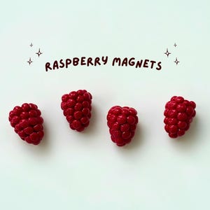 Handmade Polymer Clay Fruit Magnets