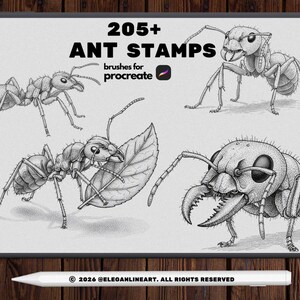Könnte beinhalten: Eine digitale Sammlung von 205+ Ameisen-Stempeln für Procreate mit detaillierten schwarz-weißen Illustrationen von Ameisen in verschiedenen Posen, darunter eine mit einem Blatt und eine Nahaufnahme eines Ameisenkopfes mit großen Mandibeln.