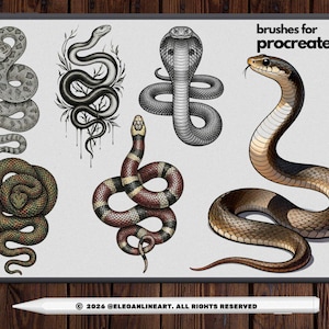 Peut inclure: Illustration num&eacute;rique de divers serpents. La collection comprend un serpent &agrave; sonnettes, un cobra, un serpent corail et d'autres dessins d&eacute;taill&eacute;s de serpents. L'expression "brushes for procreate" est affich&eacute;e en haut &agrave; droite. Un stylet blanc est en bas.