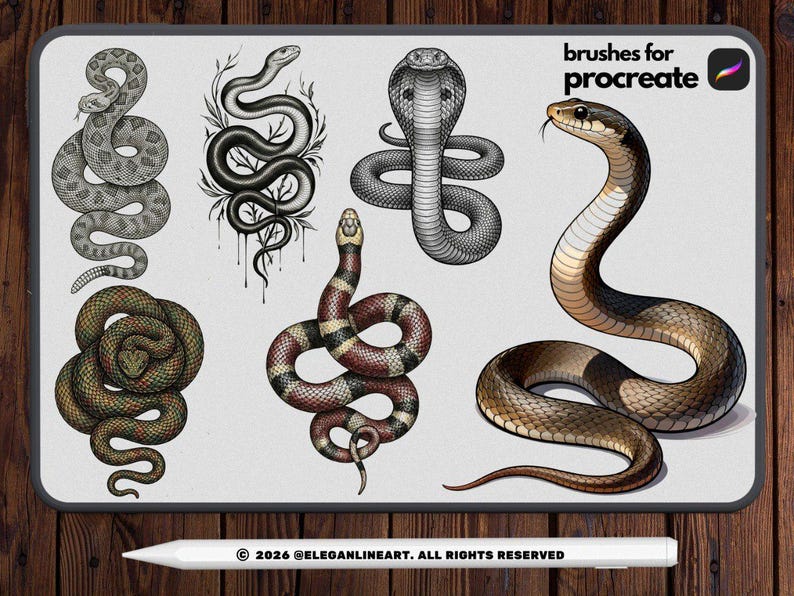 Peut inclure: Illustration num&eacute;rique de divers serpents. La collection comprend un serpent &agrave; sonnettes, un cobra, un serpent corail et d'autres dessins d&eacute;taill&eacute;s de serpents. L'expression "brushes for procreate" est affich&eacute;e en haut &agrave; droite. Un stylet blanc est en bas.