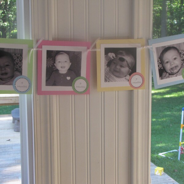 first birthday photo banner pictures of each month til 1 which can match your party theme