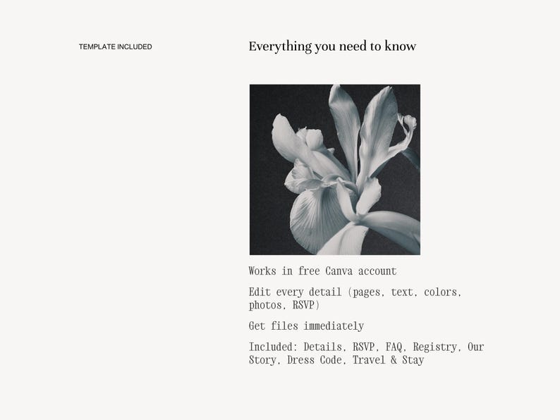 Wedding website template pages included — details, RSVP, FAQ, registry, our story, dress code, travel and stay, fully editable in free Canva account