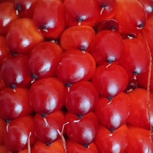May include: Close-up of a cluster of bright red, oval-shaped berries. Each berry has a dark tip and a smooth, glossy surface. The berries are densely packed together, creating a textured, organic pattern.