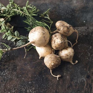 May include: A cluster of jicama roots with attached stems and a sprig of green herbs. The jicama roots are light brown and round, with a slightly rough texture. The herbs are green and leafy, adding a fresh contrast to the earthy tones.