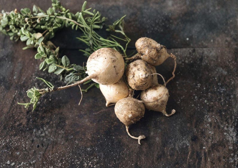 May include: A cluster of jicama roots with attached stems and a sprig of green herbs. The jicama roots are light brown and round, with a slightly rough texture. The herbs are green and leafy, adding a fresh contrast to the earthy tones.