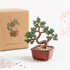 May include: A miniature bonsai tree made with green beads and copper wire, planted in a small, square, reddish-brown ceramic pot filled with small pebbles. A cardboard box with the text "DIY Mini Bonsai Kit" is in the background.