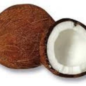 Coconut 1/2 oz. ounce Flavor Oil for Lip Balms Presweetened