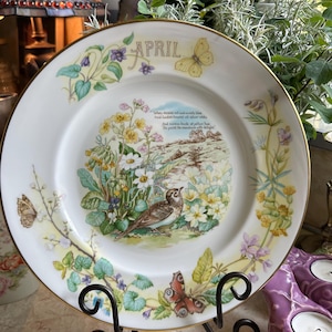 Caverswall China - Etsy