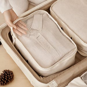 May include: A beige rectangular packing cube with a mesh top panel containing a folded light-colored button-down shirt. The organizer is placed inside an open beige suitcase alongside other similar storage cubes and a pinecone.