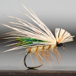 Pode incluir: Uma isca de pesca com mosca apresentando um anzol de metal curvo, um corpo envolto em fibras castanho-claras, penas de asa verde iridescente e longas fibras de hackle finas e cor de creme que se estendem da cabeça e corpo do inseto.