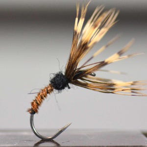 Puede incluir: Un señuelo de pesca con mosca que presenta un anzuelo de metal curvado, un cuerpo envuelto en alambre de color cobre, un tórax negro difuso y plumas largas, finas y moteadas en marrón y bronceado que se extienden desde el anzuelo.