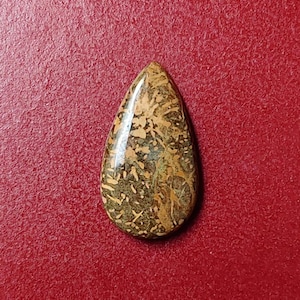 Op de afbeelding: Een druppelvormige, gepolijste edelsteen. De steen heeft een mix van bruine, groene en beige patronen, tegen een rode achtergrond. Het unieke ontwerp van de edelsteen maakt hem geschikt voor sieraden.