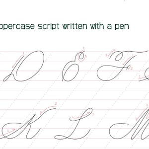 Op de afbeelding: Een oefenblad met Spencerian hoofdletters geschreven met een pen. De zwarte inkt kalligrafie bevat genummerde rode pijlen die de volgorde en richting van de lijnen aangeven, geplaatst tegen een achtergrond van lichtgrijze hulplijnen.