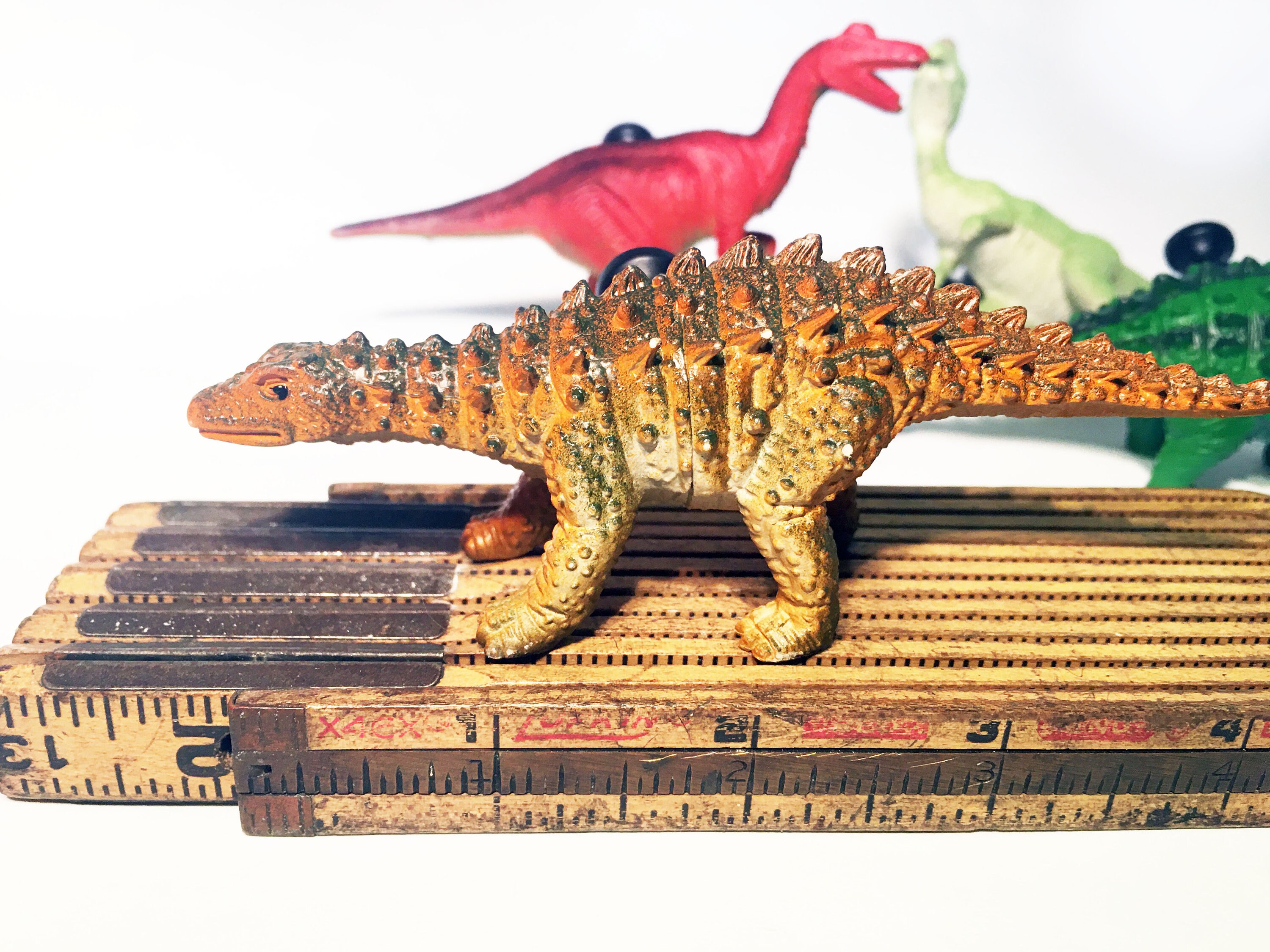 dinosaur with knob on head