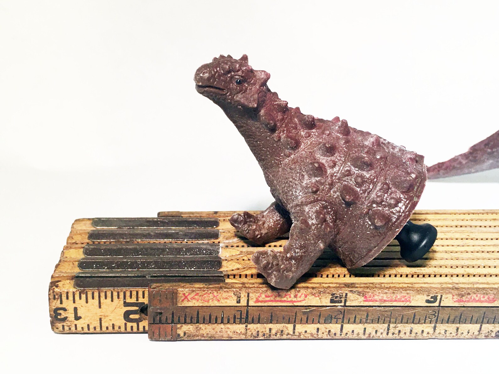 dinosaur with knob on head