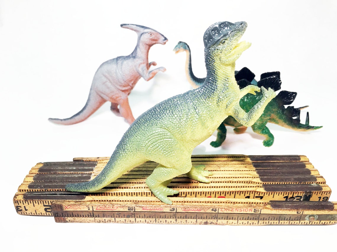 dinosaur with knob on head