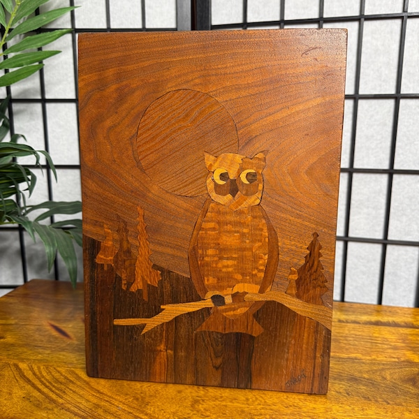 Peut inclure: Pièce d'art en bois représentant un hibou. L'œuvre représente un hibou perché sur une branche, avec une pleine lune en arrière-plan. Le hibou et la lune sont de teintes marron plus claires, tandis que le fond est marron plus foncé. La pièce est rectangulaire et en bois.